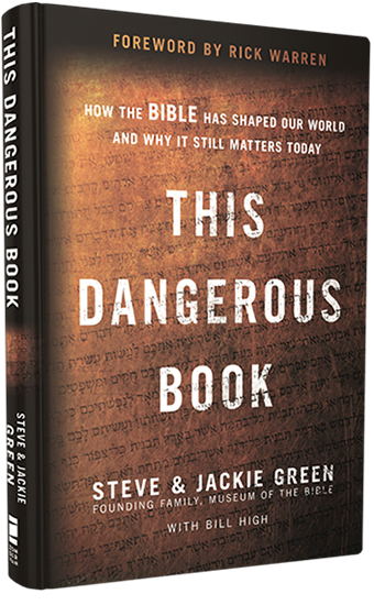 this dangerous book marketing pages