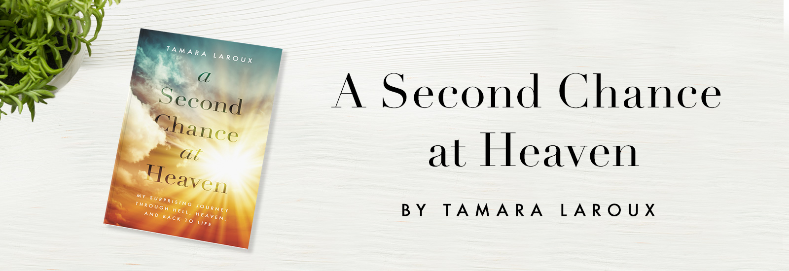 A Second Chance at Heaven A second Chance at Heaven