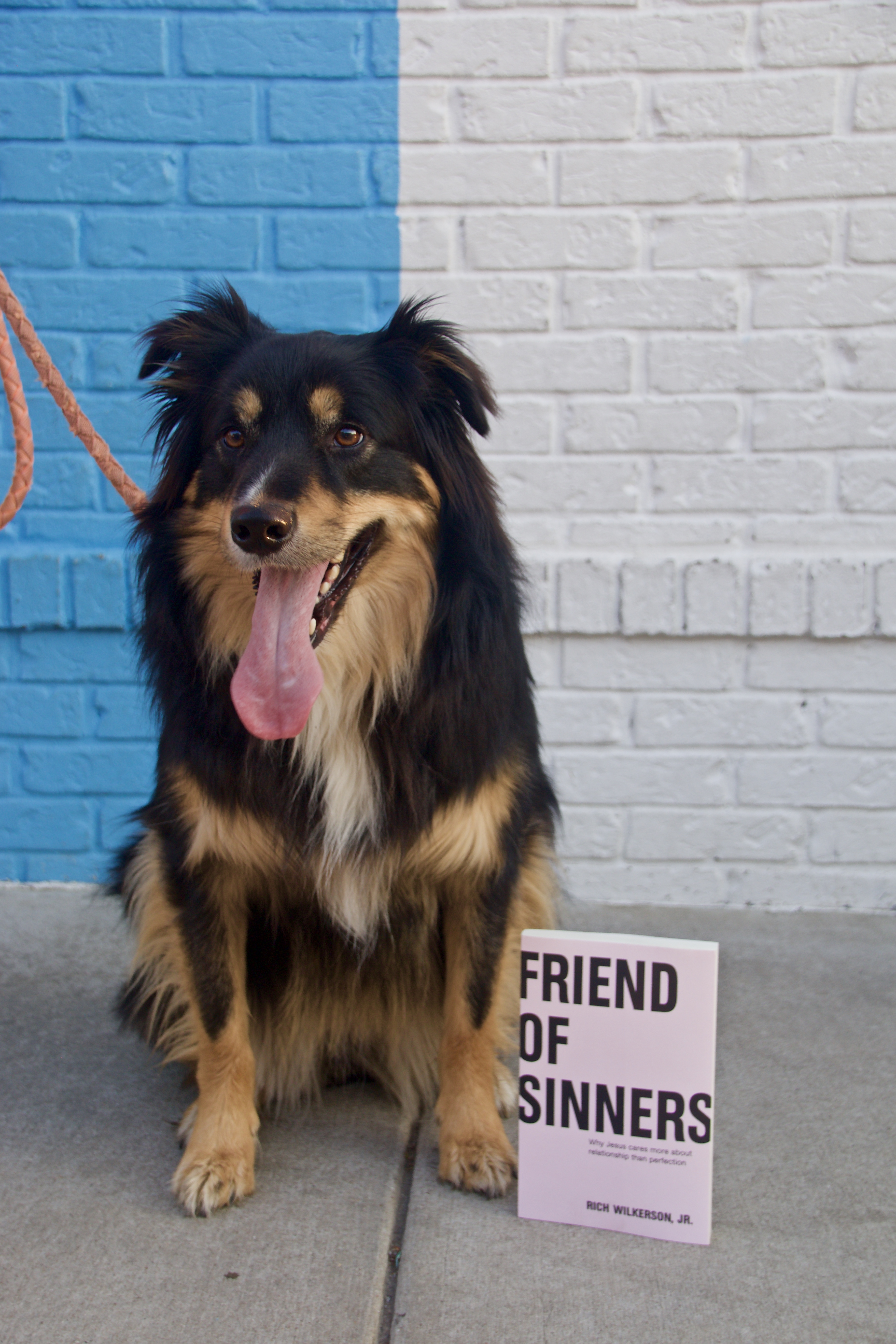 Puppy reviews, puppy book reviews, books with puppies