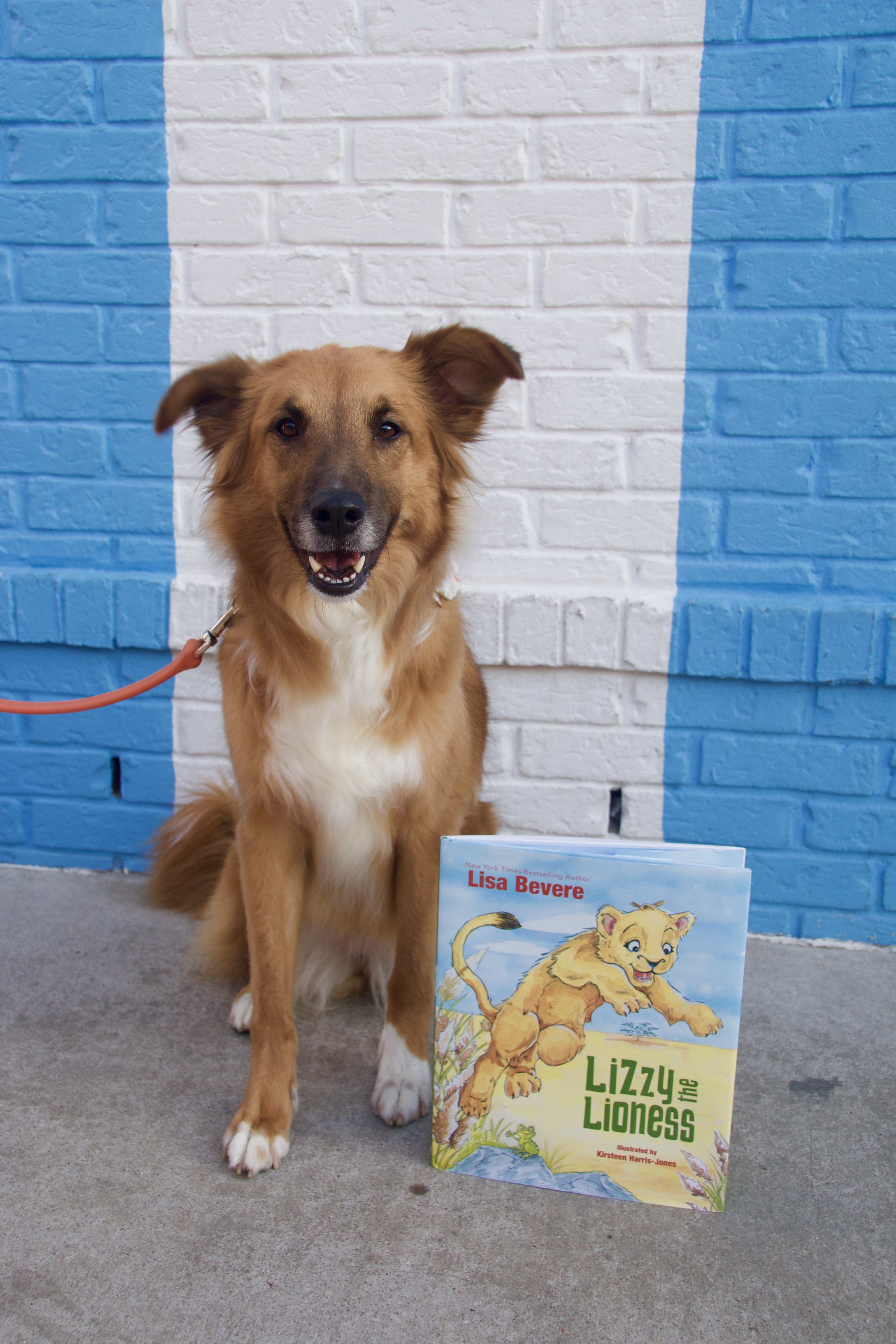 Puppy reviews, puppy book reviews, books with puppies