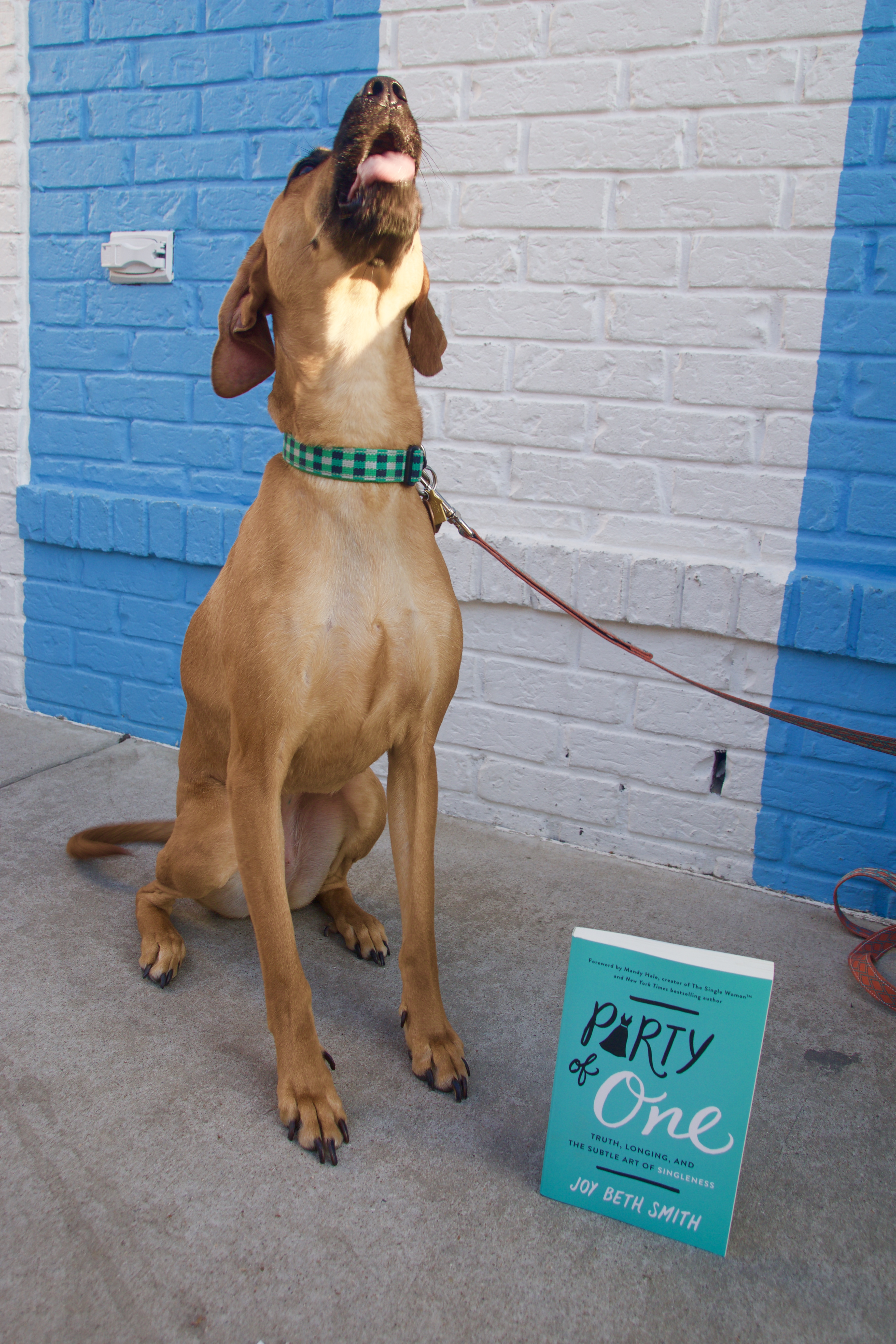 Puppy reviews, puppy book reviews, books with puppies