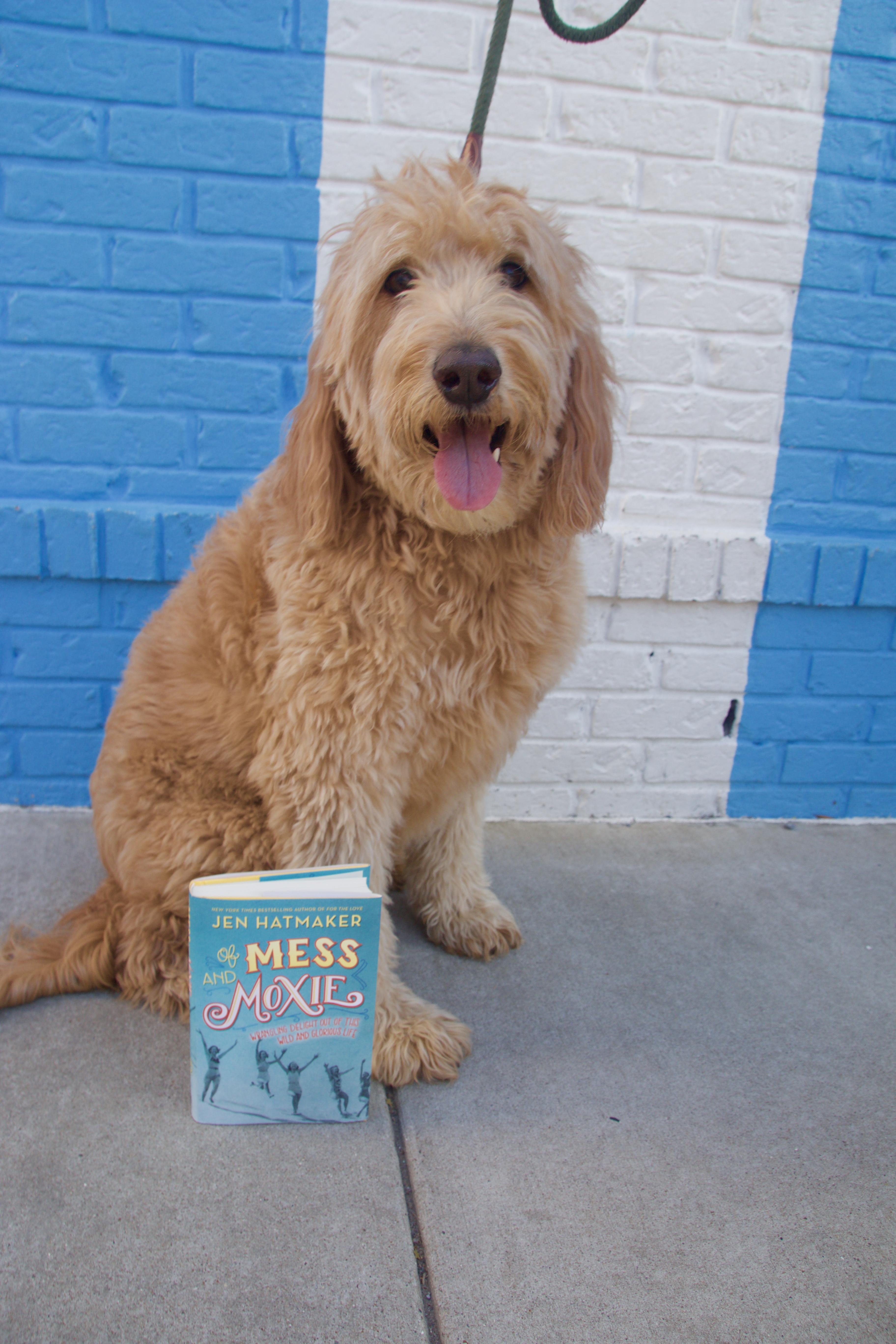 Puppy reviews, puppy book reviews, books with puppies