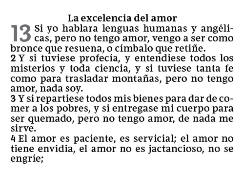 comfortNEW biblia letra facil de leer