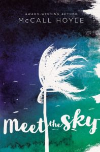 meet the sky cover