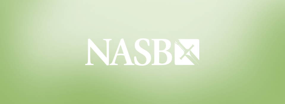 Nasb deals bible online