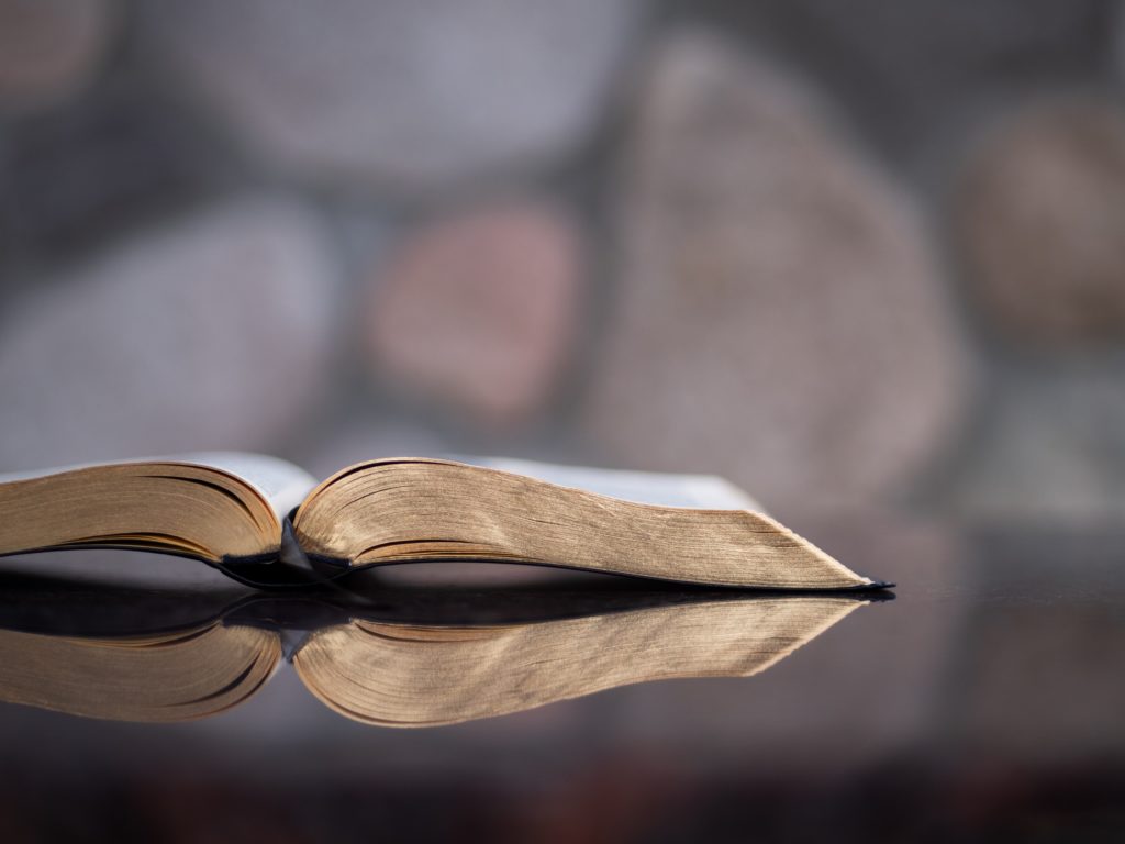 aaron-burden-1054030-unsplash1 aaron-burden-1054030-unsplash1