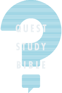 NIV_QuestSB_TitleTreatment NIV_QuestSB_TitleTreatment