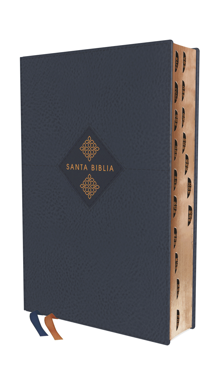 NIV The Grace and Truth Study Bible