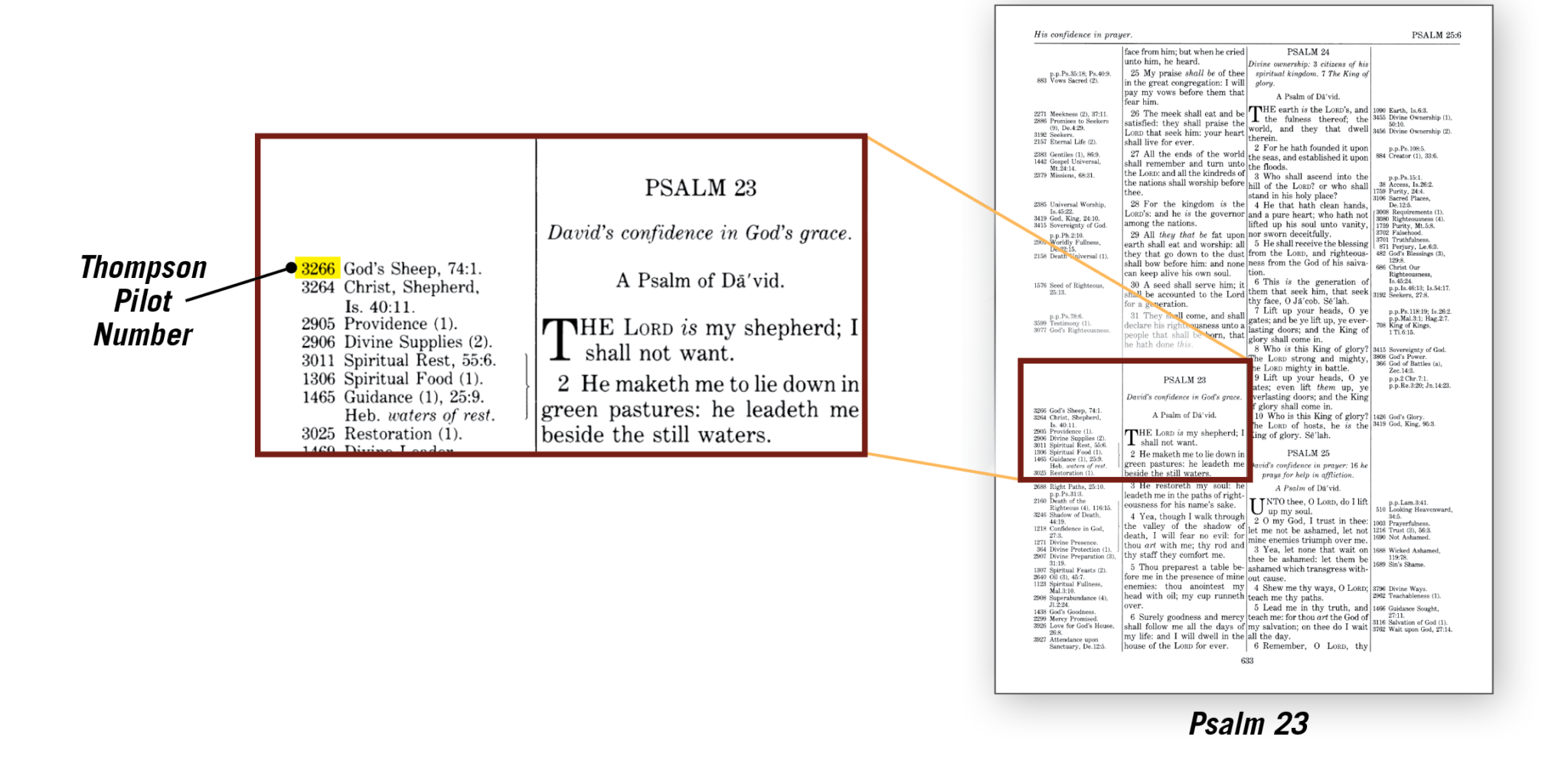 Thompson ChainReference Bible