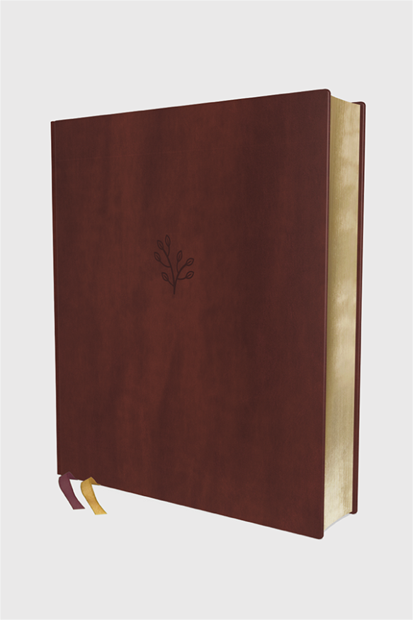 Amplified Bibles Marketing Pages