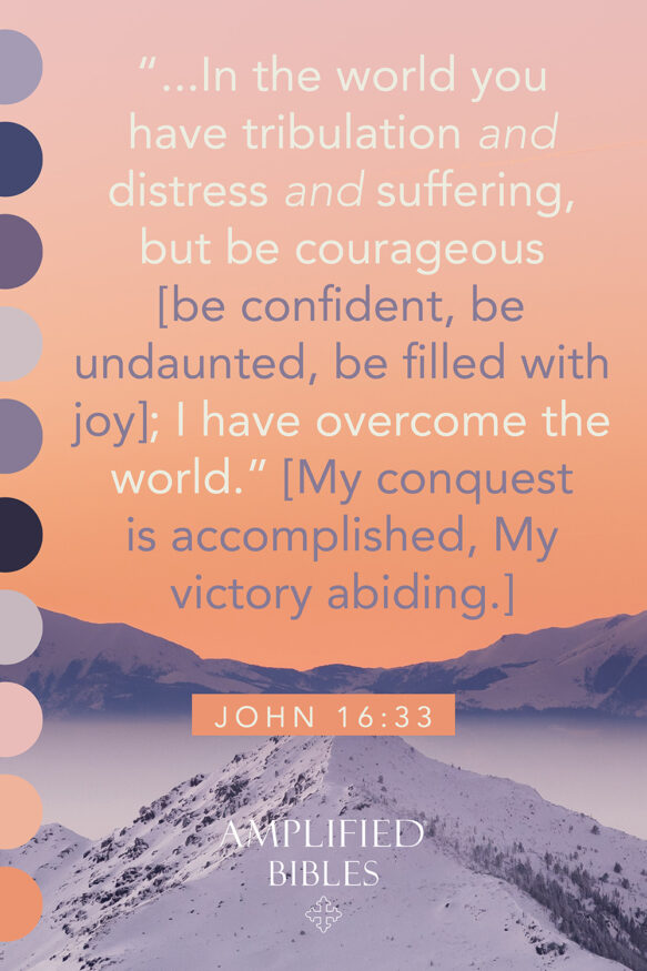 Amplified Bibles Marketing Pages