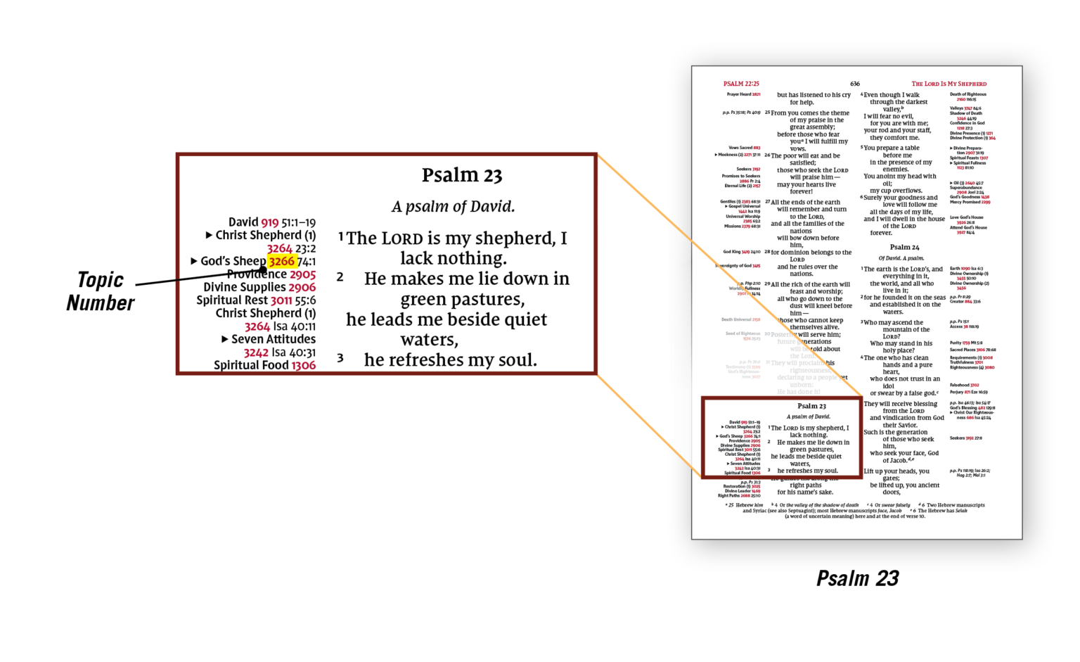 Thompson ChainReference Bible
