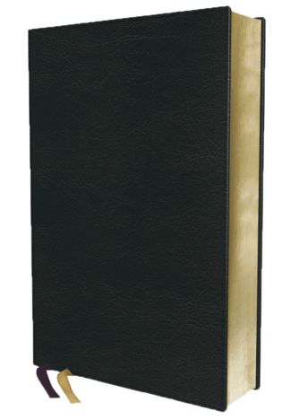 NRSVue Bibles with Protestant Canon