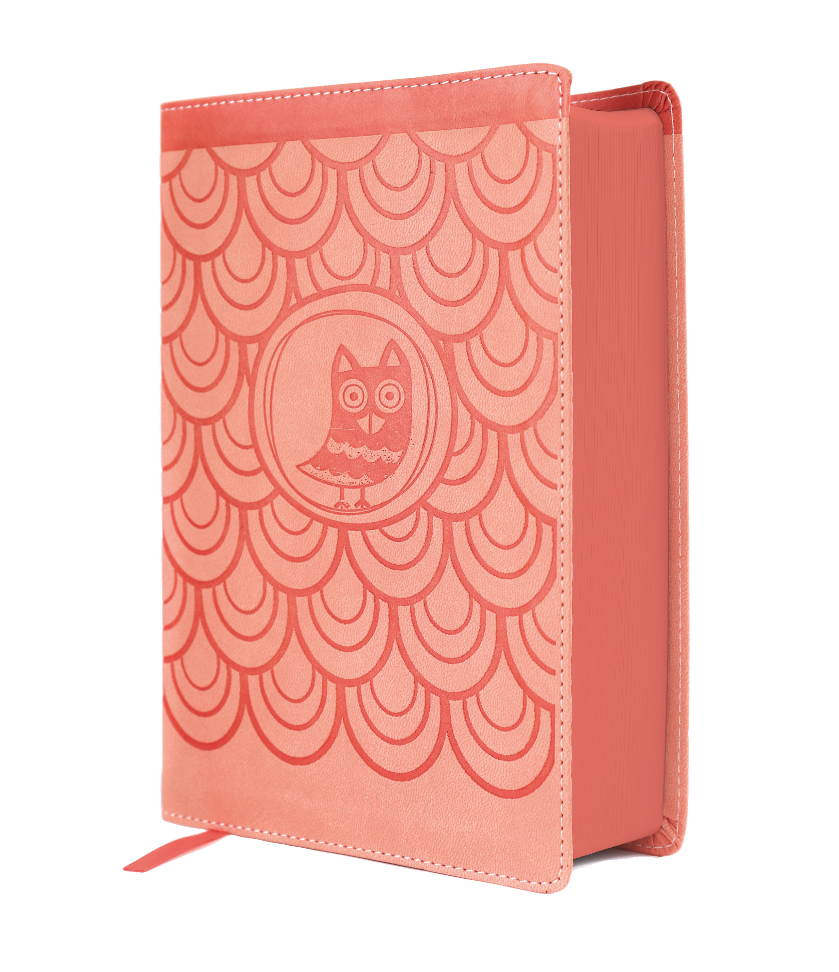 NIrV Giant Print Compact Bible for Girls