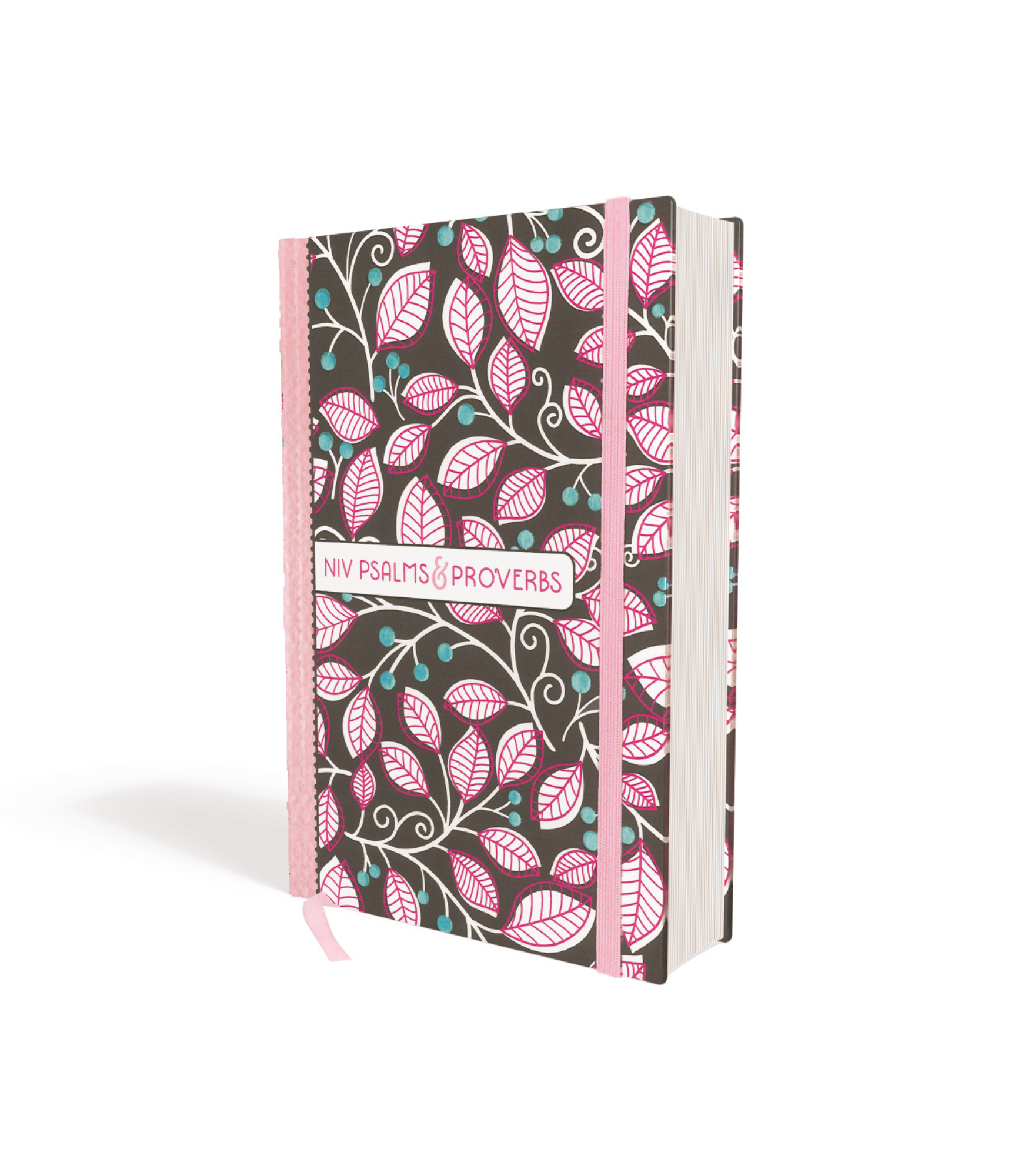 NIV Psalms and Proverbs