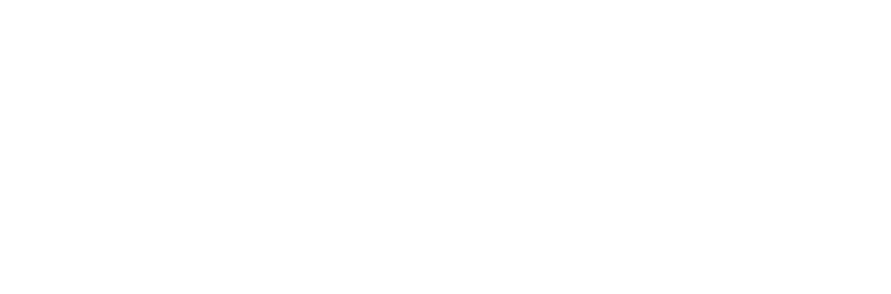 Subtitle