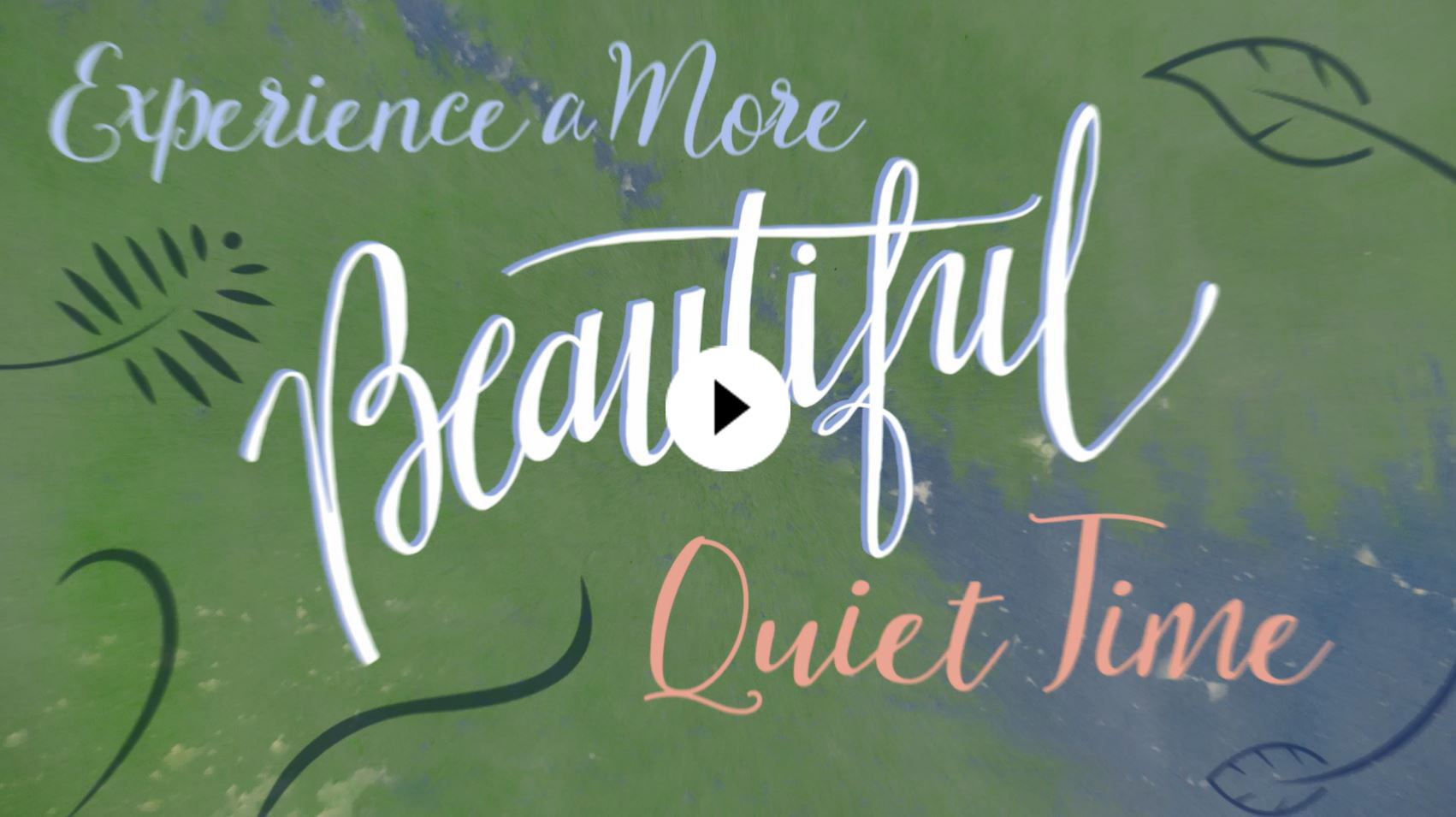 Watch the Video Watch the Video