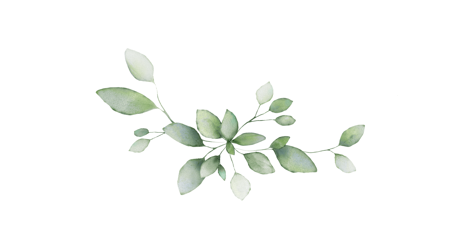 Fern Fern Greens