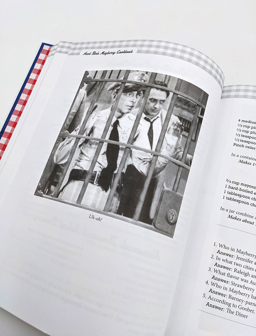 interior photo in aunt bees mayberry cookbook